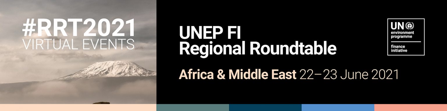 UNEP FI Regional Roundtable Africa And Middle East 2021: Highlights ...