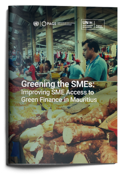 Greening The SMEs: Improving SME Access To Green Finance In Mauritius ...