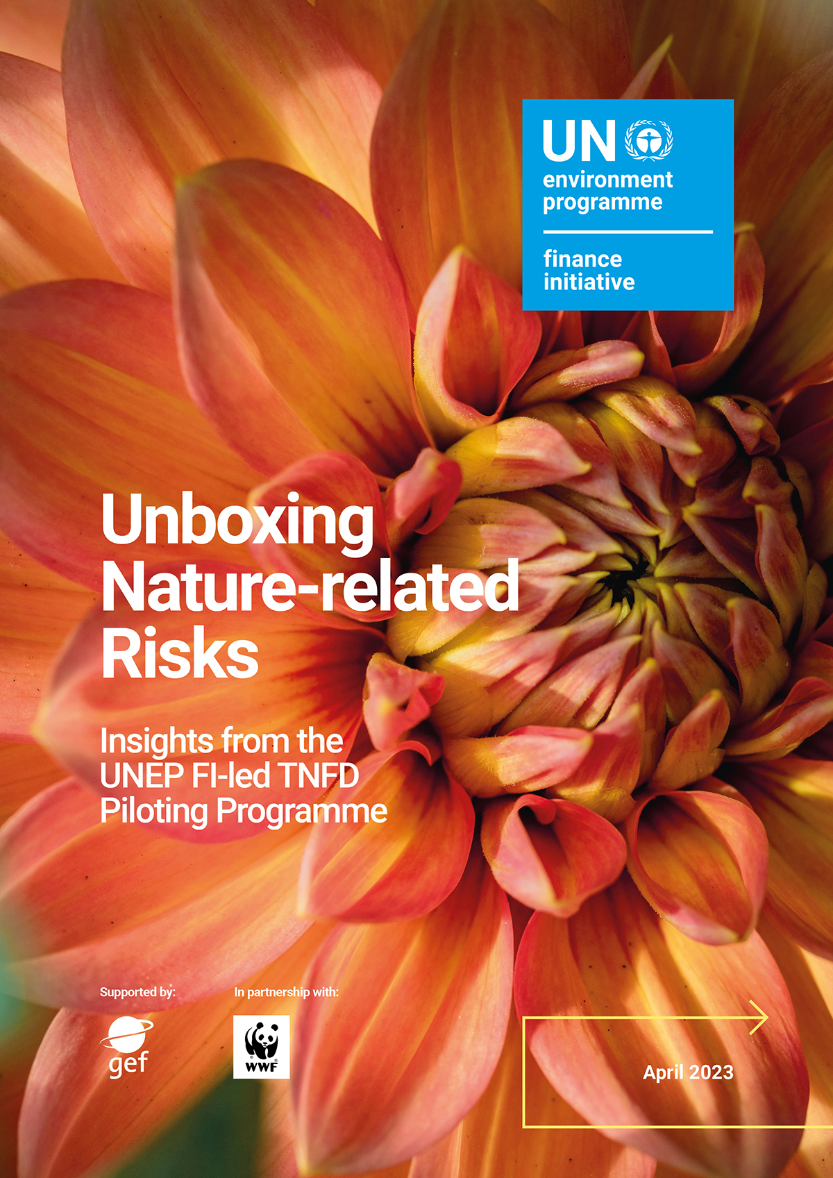 Unboxing Nature Related Risks Insights From The Unep Fi Led Tnfd Piloting Programme United 9861