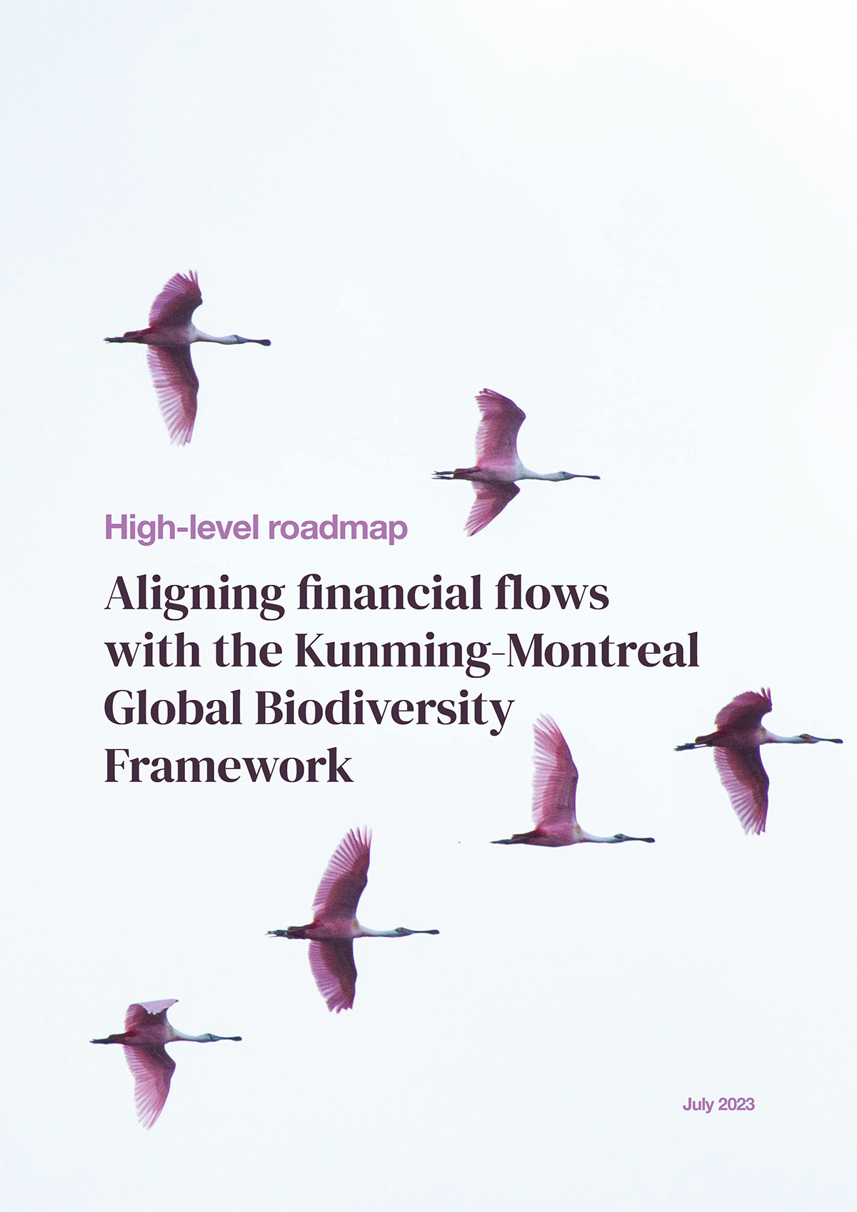 High-level Roadmap: Aligning Financial Flows With The Kunming-Montreal ...