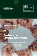 Guidance on Effective Governance